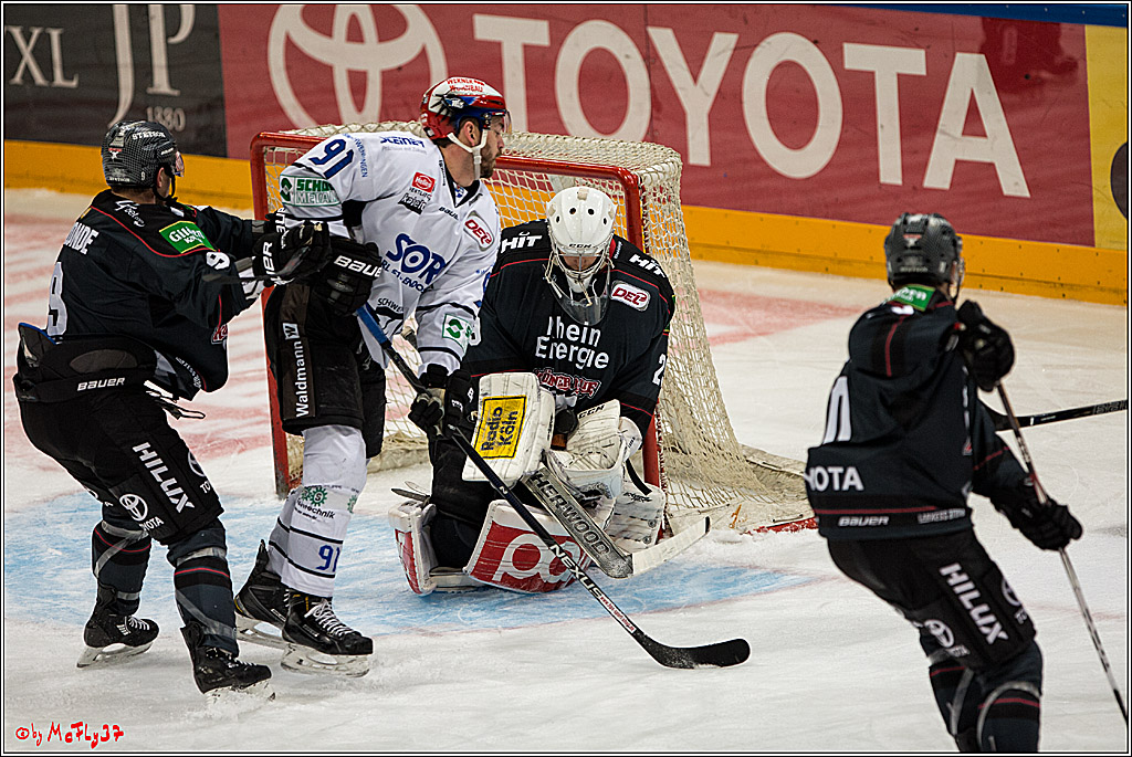 Koelner Haie - Schwenninger Wild Wings, 11.12.2016